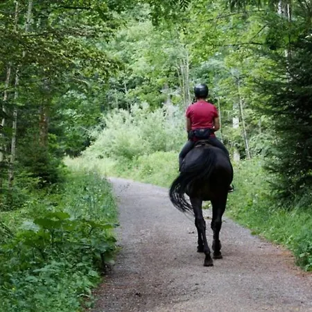 Mobil Pour 7 Pers Avec Terrasse A - Api-1-52-418 * 苏斯通