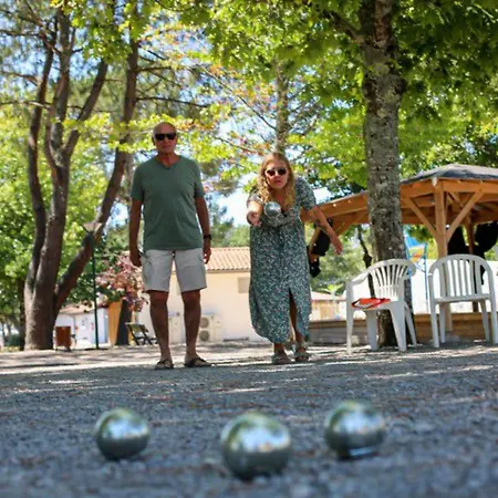 Mobil Pour 7 Pers Avec Terrasse A - Api-1-52-418 营地