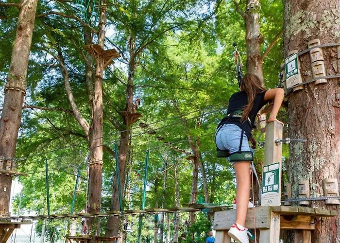 Mobil Pour 7 Pers Avec Terrasse A - Api-1-52-418 *