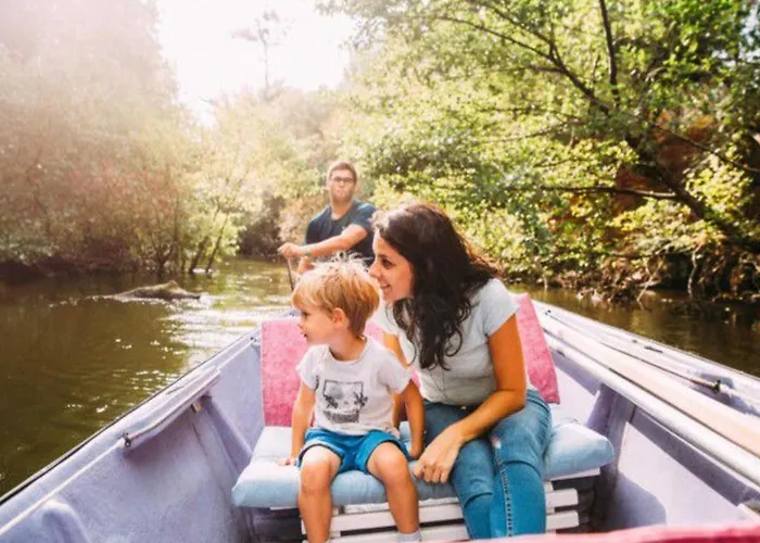 Mobil Pour 7 Pers Avec Terrasse à - Api-1-52-418 Soustons